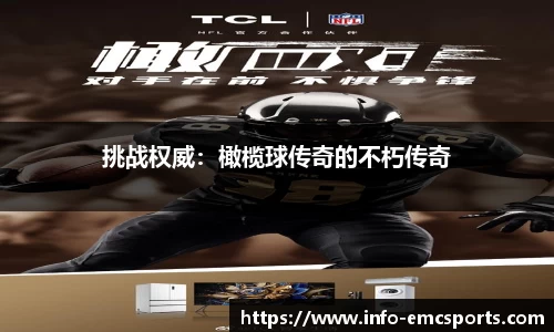 EMC易倍平台
