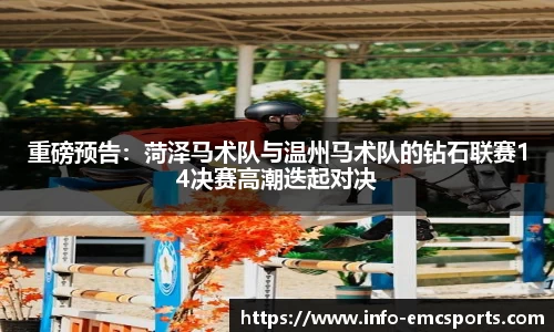 EMC易倍官网