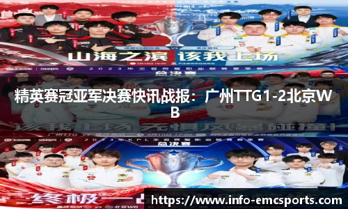 EMC易倍